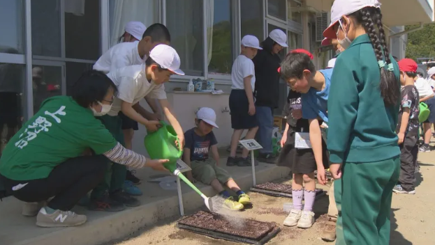 上野小学校　慰霊の思い込め　マリーゴールドの種まき　群馬・上野村
